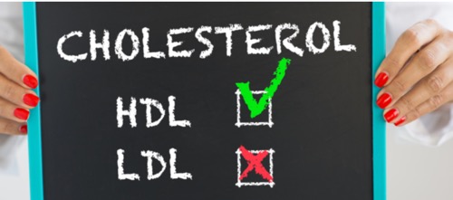 LDL 콜레스테롤